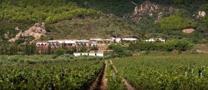 Mature Vineyard, Villas, Restaurant and Gardens, South Sardinia, Pula For Sale