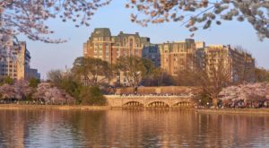 Mandarin Oriental Sell Washington DC Hotel To Henderson Park For $139m